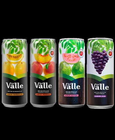 SUCO DEL VALLE – LATA 290 ML